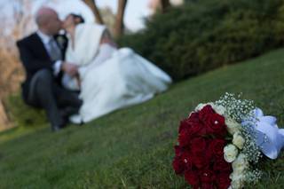 Novecento Photography - 15