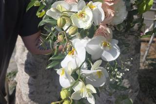 Bisconti Floral Designer - 6