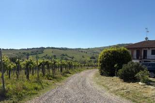 Casale nelle Vigne - 6