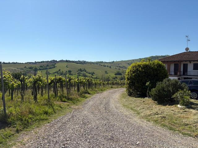 Casale nelle Vigne - 1