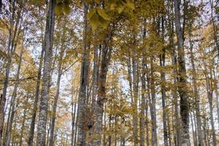 Jade Eleonoire di De Prà Giada - 8