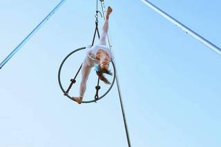 Relais La Tenuta Del Gallo - 10