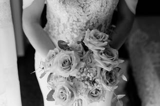 Angelo La Torre Photography & Film - 6