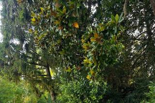 Cucina da Manuale - 12