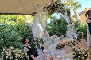 Pupa Allestimenti - 1