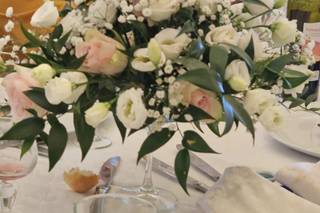 Pupa Allestimenti - 2