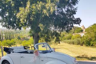 Auto per Eventi - Delorean, Herbie & Maggiolino - 24
