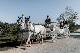 Agriturismo La Borina - 11