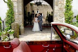 Falco fotografi - 15