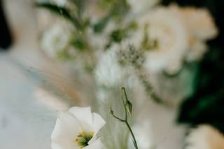 Di Fiore In Fiore - 5