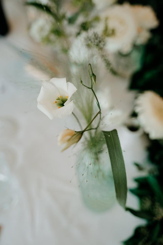 Di Fiore In Fiore - 2