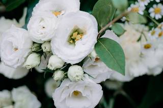 Di Fiore In Fiore - 6