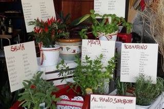 Gli amici di Ale & Samu - 1