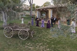 Gigliotto Tenute - 7