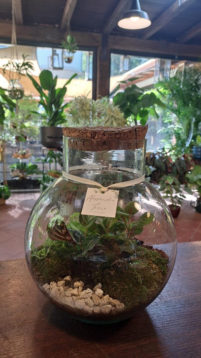 Fleur Garden Trastevere - 2