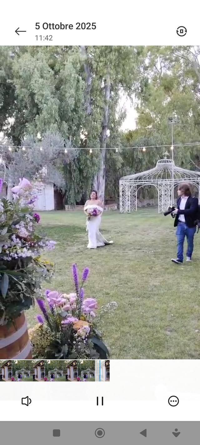 Gigliotto Tenute - 2