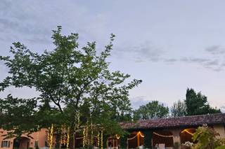 Tenuta La Michelina - 20