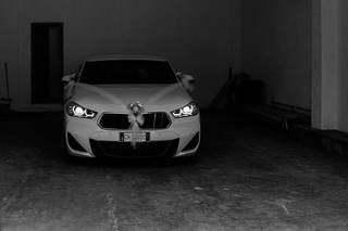 Spazio Verde Flowers Designer - 5