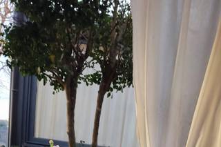 DanielaT. Event Planner - 7