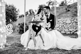 Wedding Dog Sitter Fido e Fedi - 5