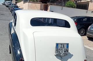 Canestri Autonoleggi - 16