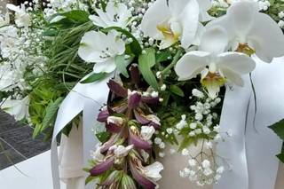 Fiore Corte Franca - 5