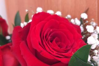 L'Albero della Vita - 14