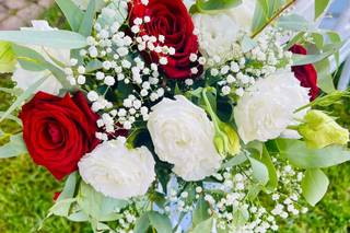 Fioreria La Coccinella - 9