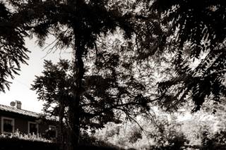 Momaxphoto - 17