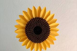 Ilonotile - Paper Design - 5