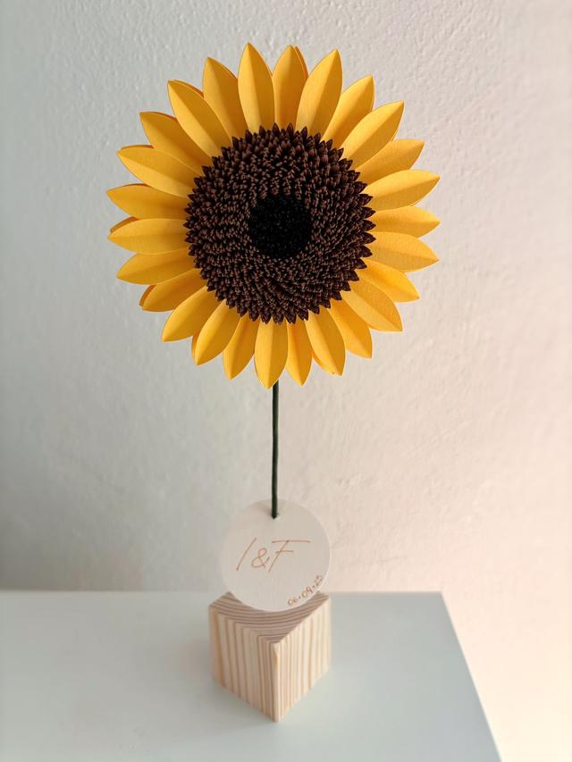Ilonotile - Paper Design - 1