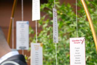 Il Matrimonio Delle Radici - 5