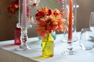 Il Matrimonio Delle Radici - 6