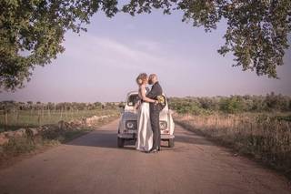 Michele Manisi Photography - 15
