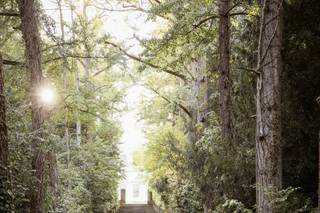 YesYes Wedding Photography - 6