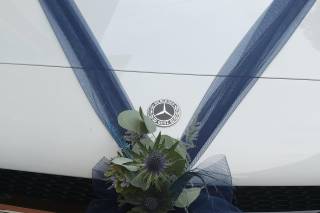 Magnolia di Mazzoli Elisa - 17