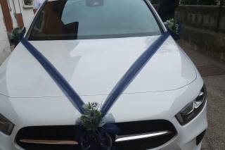 Magnolia di Mazzoli Elisa - 18