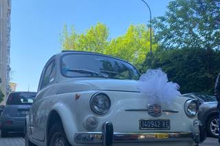 Auto Matrimonio Reggio - 13