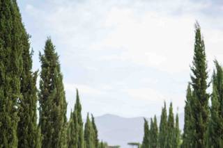 Bosco de' Medici Wine Resort - 27