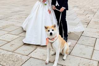 Laura Laporta - Wedding Dog Sitter - 6