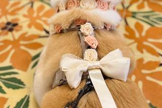 Laura Laporta - Wedding Dog Sitter - 7