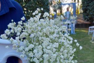 Menta Piperita - 5