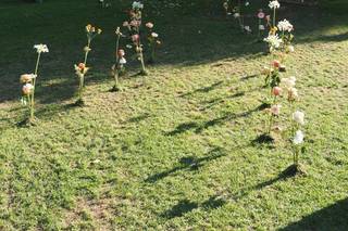 Cascina Boscaccio - 8