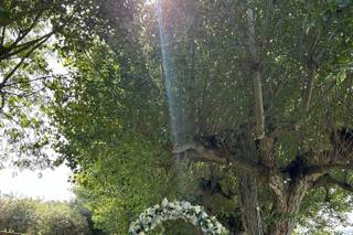 La piccola fioraia - 9