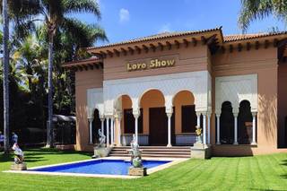 Istar Viaggi & Turismo - 9