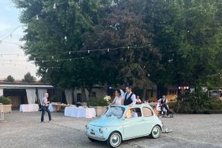 The Wedding Beetle - 17