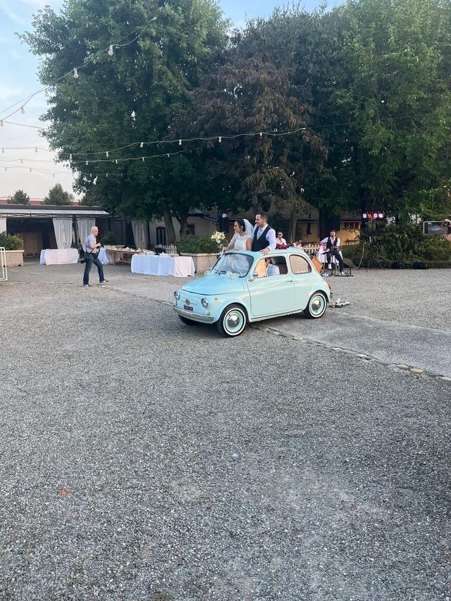 The Wedding Beetle - 2