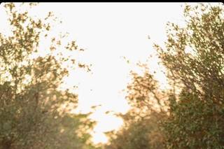 Prospettive Fotografi - 10