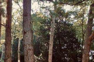 Parco Frassanelle - 9