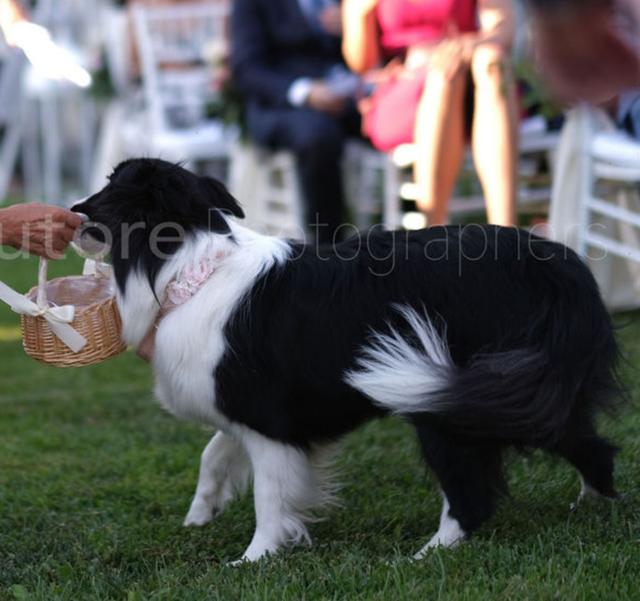 Forcine Mon Amour - 1